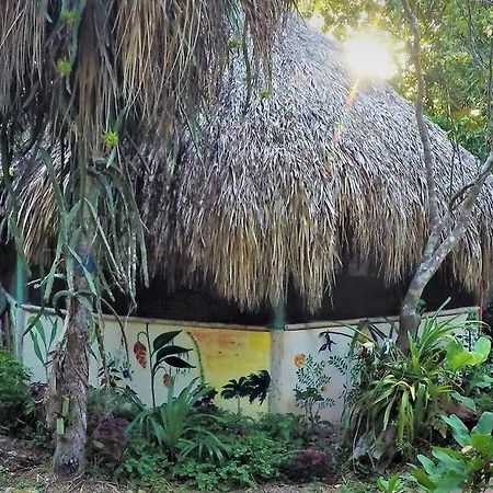 מלון בקאלאר La Casa De Los Ninos Del Arbol מראה חיצוני תמונה