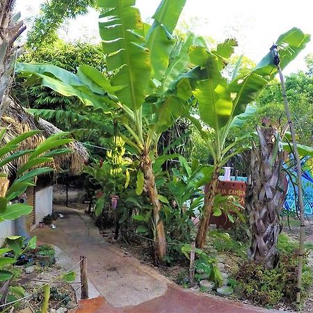 מלון בקאלאר La Casa De Los Ninos Del Arbol מראה חיצוני תמונה