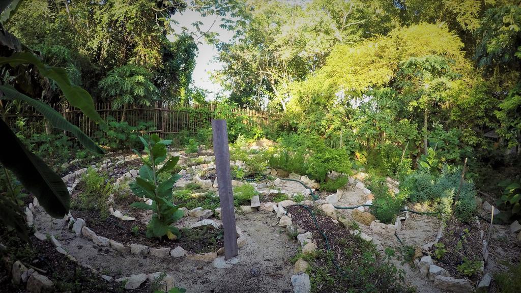 מלון בקאלאר La Casa De Los Ninos Del Arbol מראה חיצוני תמונה