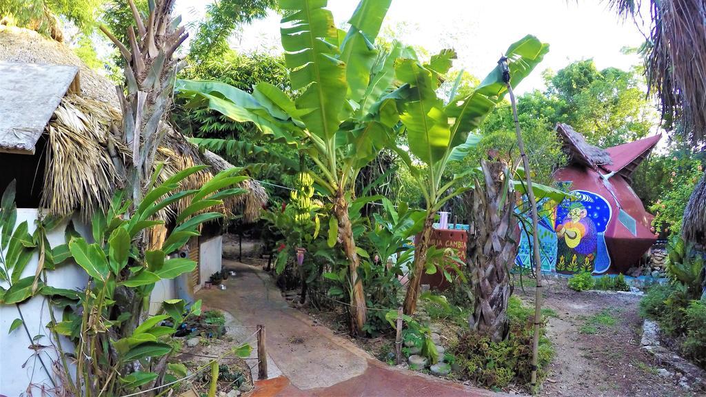 מלון בקאלאר La Casa De Los Ninos Del Arbol מראה חיצוני תמונה