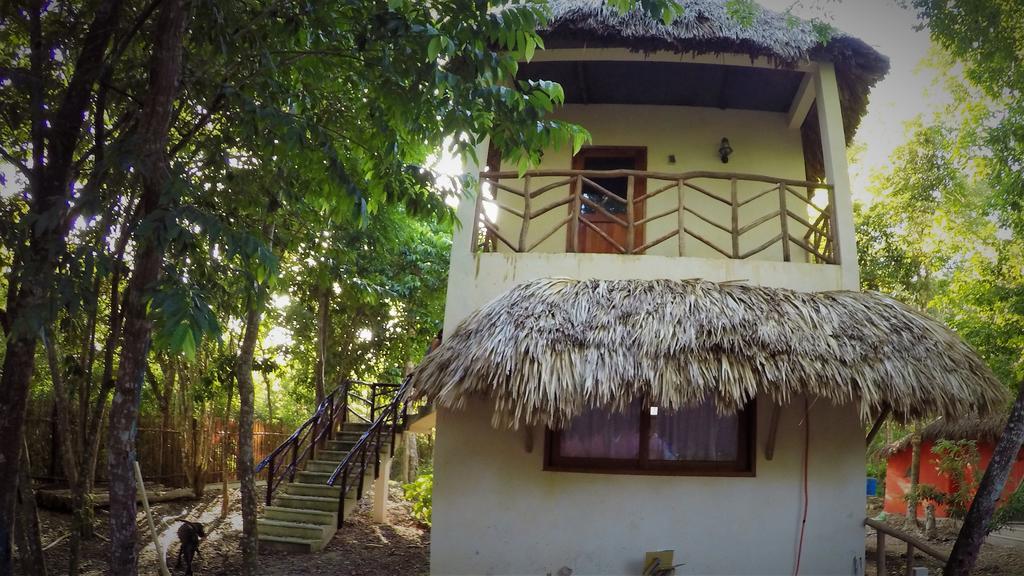 מלון בקאלאר La Casa De Los Ninos Del Arbol מראה חיצוני תמונה